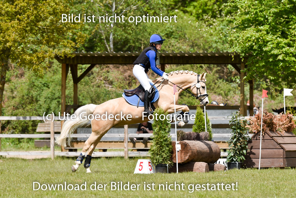  | 10052025 E Stilgelände _139 