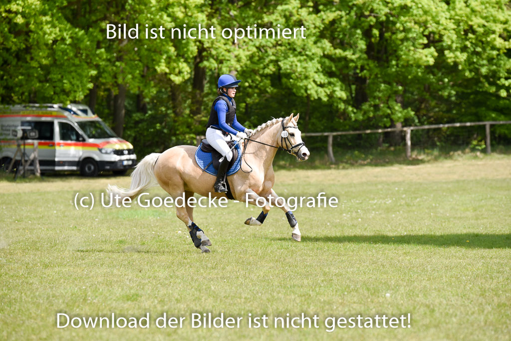  | 10052025 E Stilgelände _140 