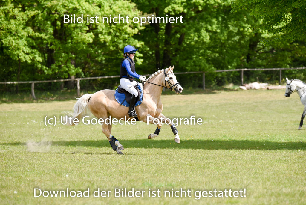  | 10052025 E Stilgelände _141 