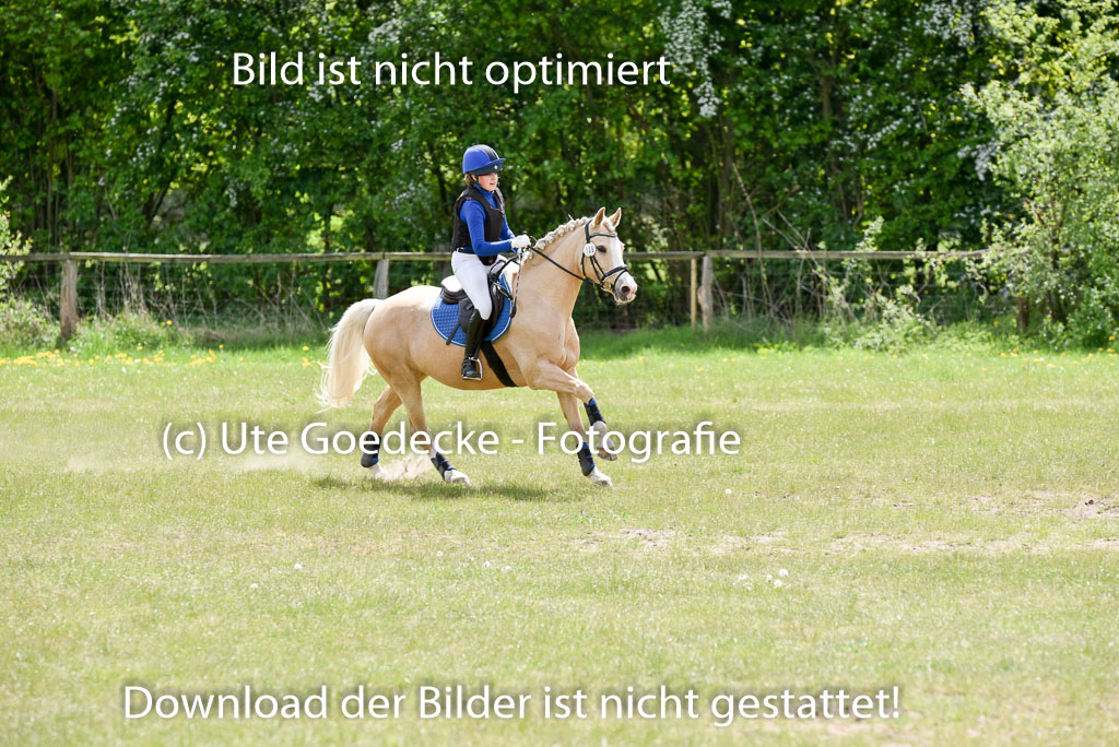  | 10052025 E Stilgelände _143 