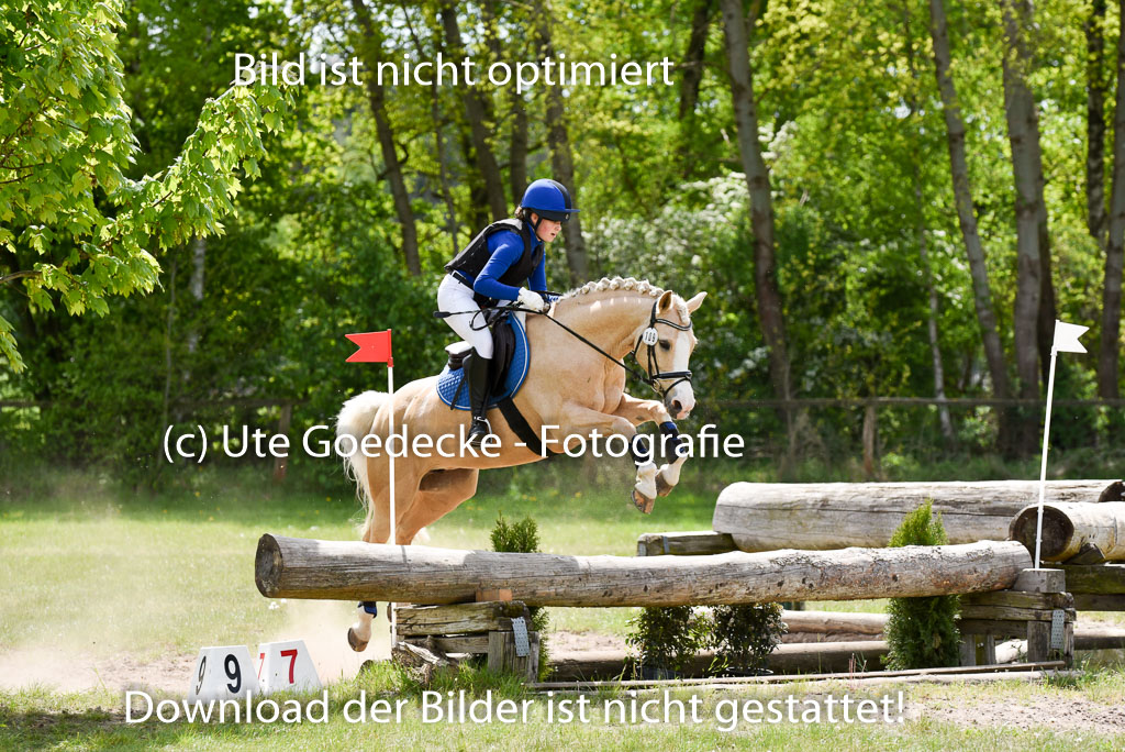 | 10052025 E Stilgelände _145 