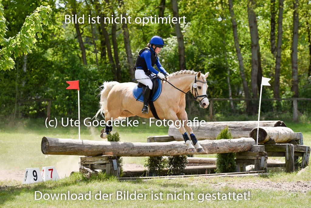  | 10052025 E Stilgelände _146 