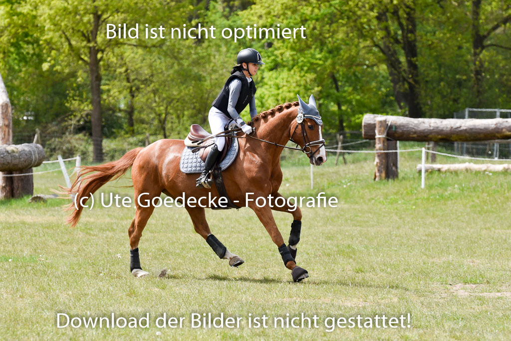  | 10052025 E Stilgelände _157 