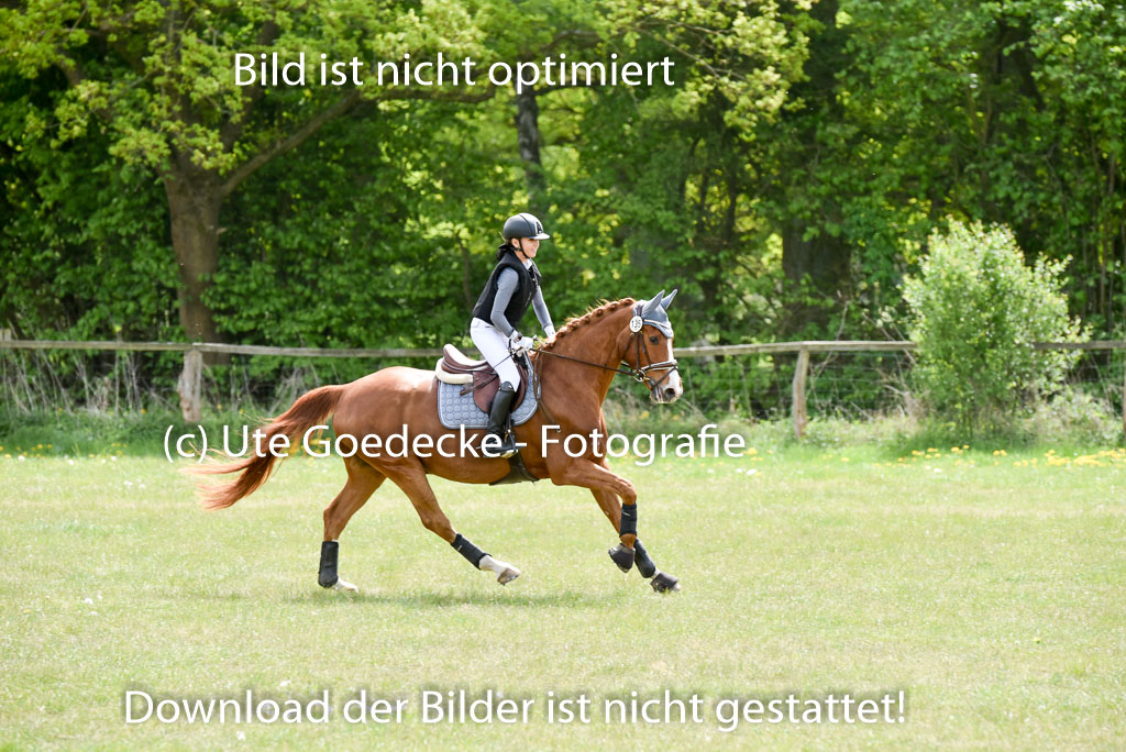  | 10052025 E Stilgelände _163 