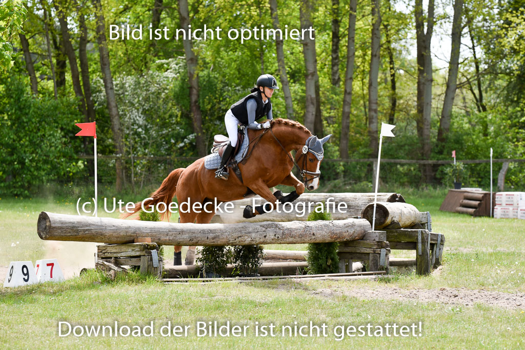  | 10052025 E Stilgelände _164 