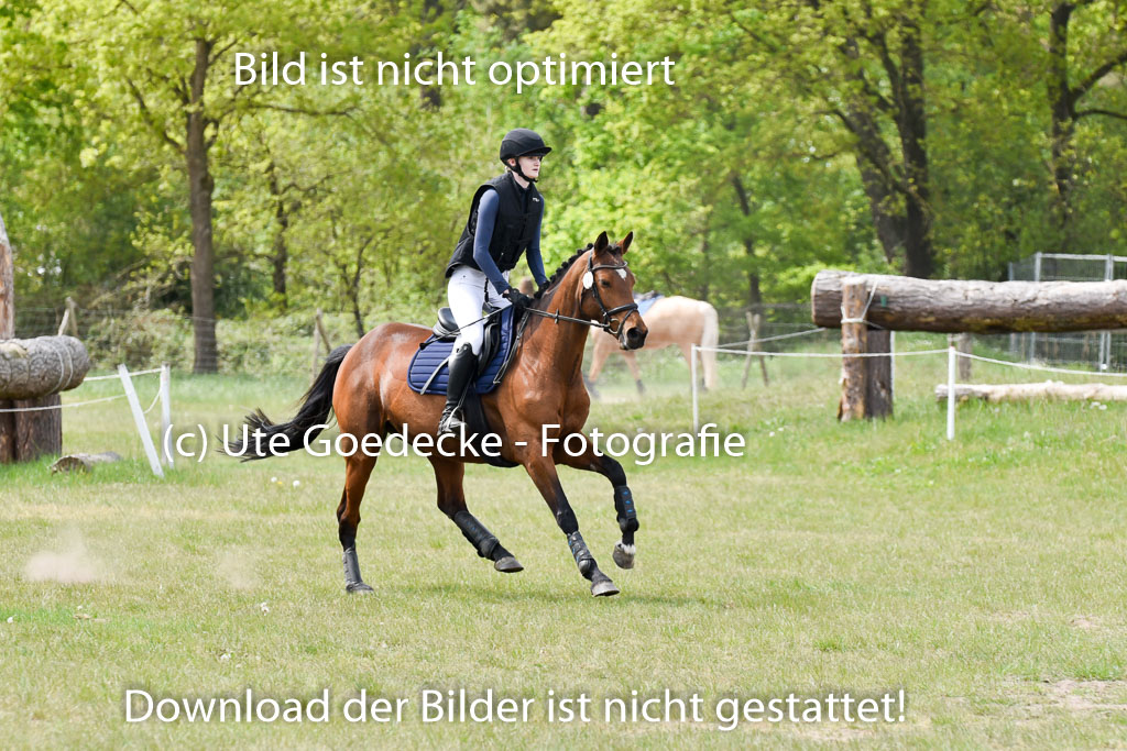  | 10052025 E Stilgelände _173 