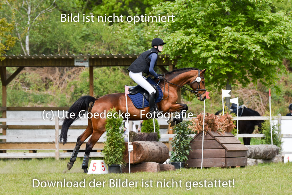  | 10052025 E Stilgelände _175 