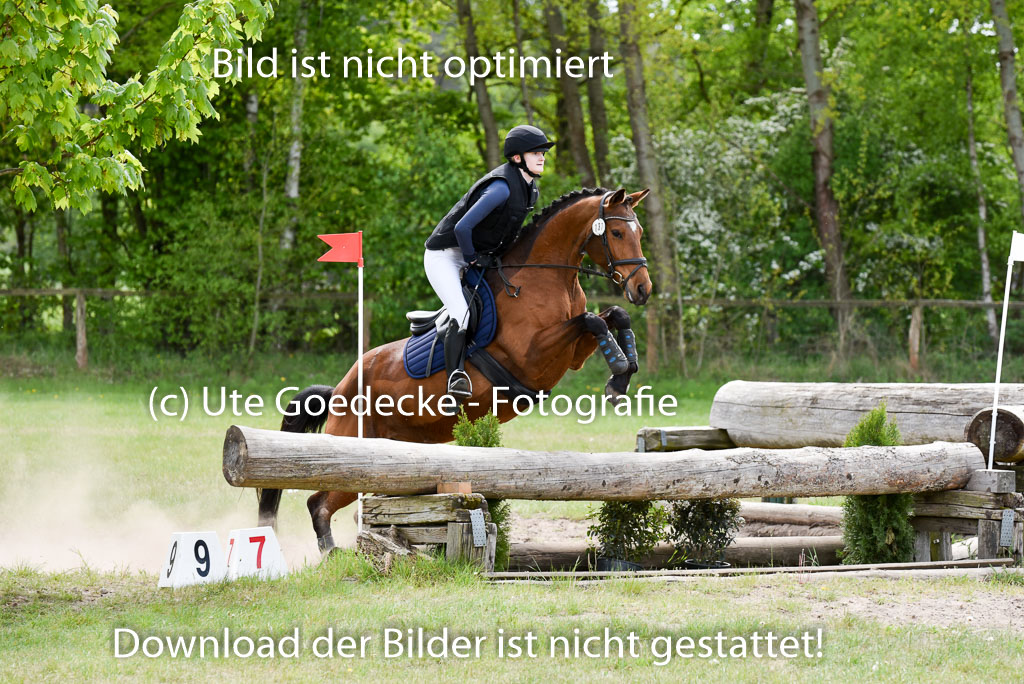  | 10052025 E Stilgelände _178 