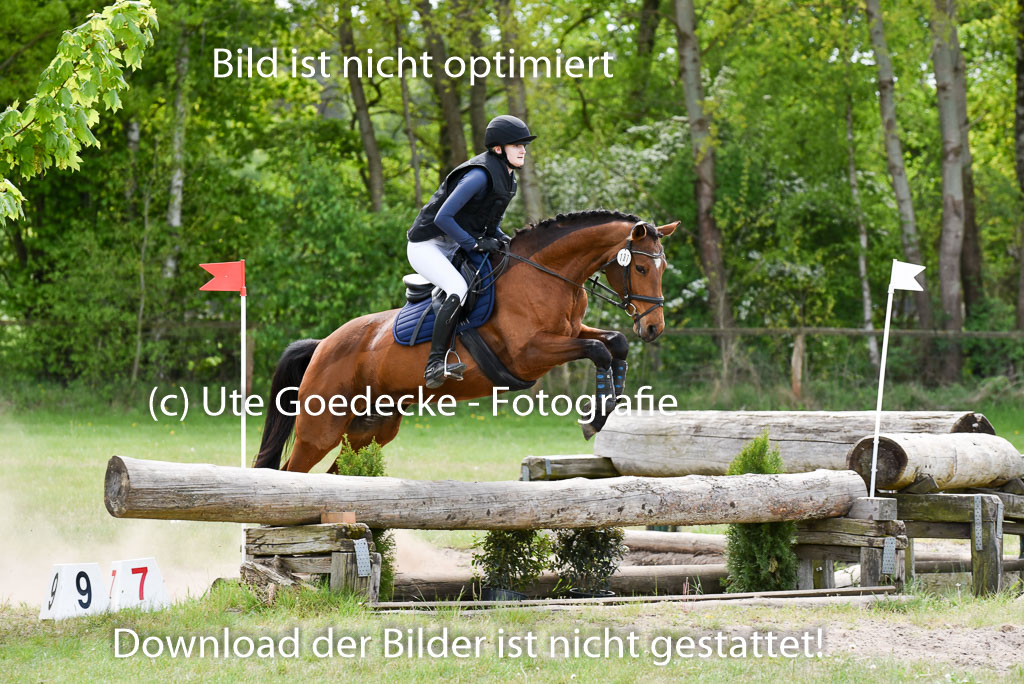  | 10052025 E Stilgelände _179 