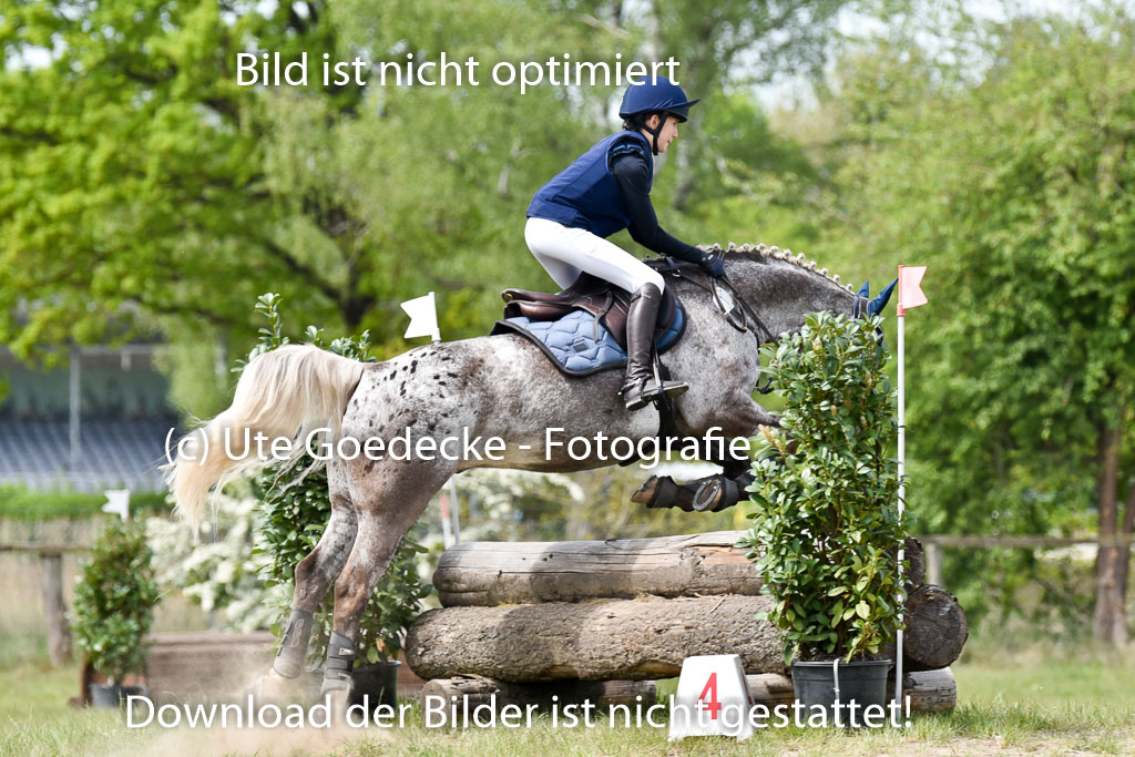  | 10052025 E Stilgelände _184 