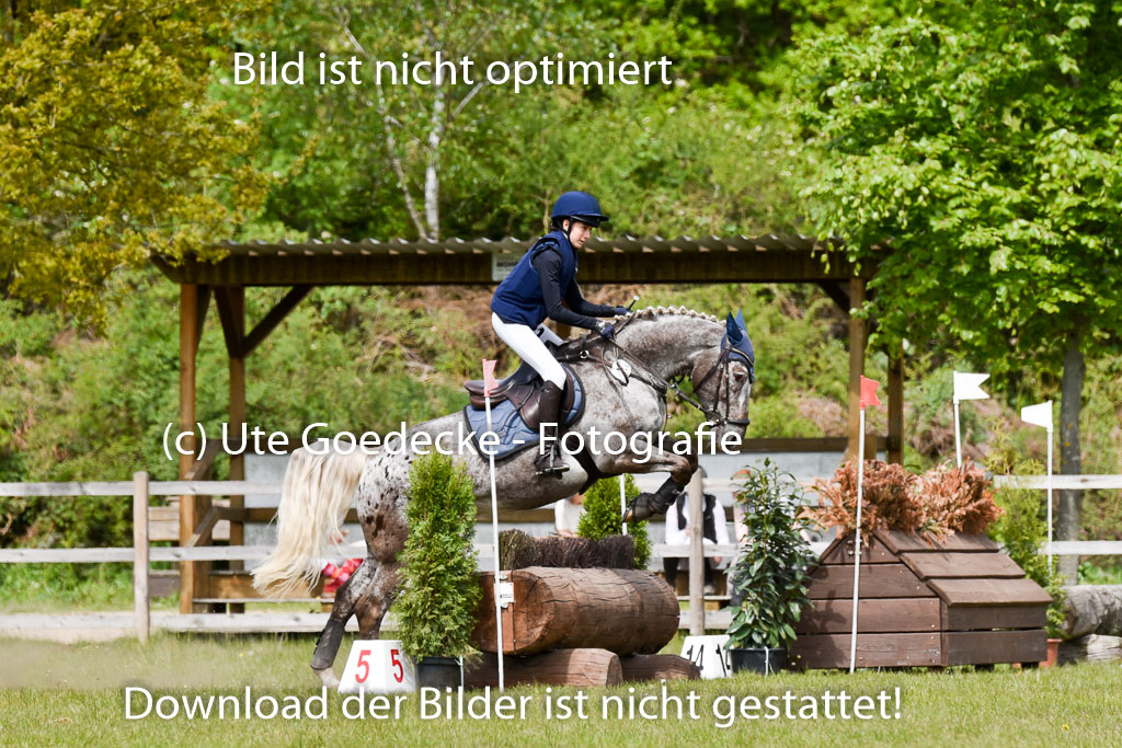  | 10052025 E Stilgelände _185 