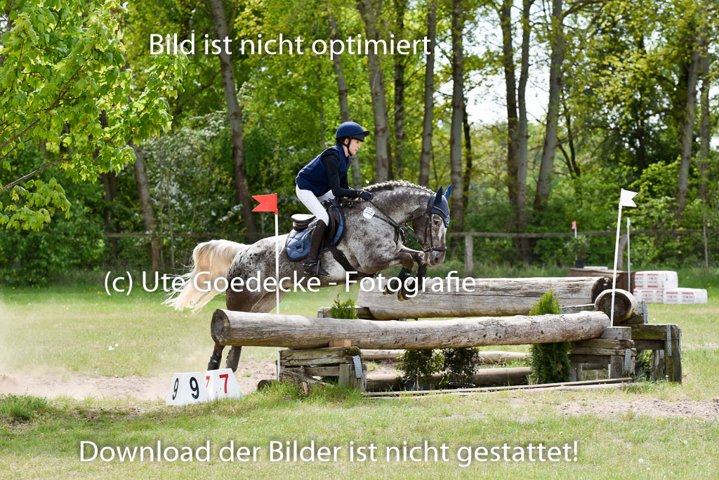 | 10052025 E Stilgelände _188 