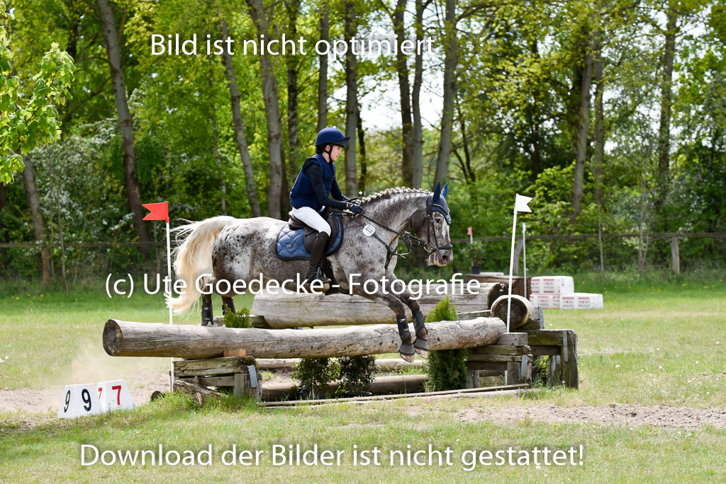  | 10052025 E Stilgelände _189 