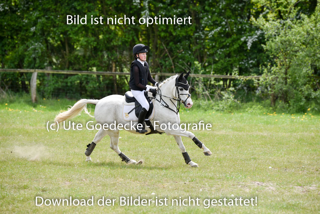  | 10052025 E Stilgelände _196 