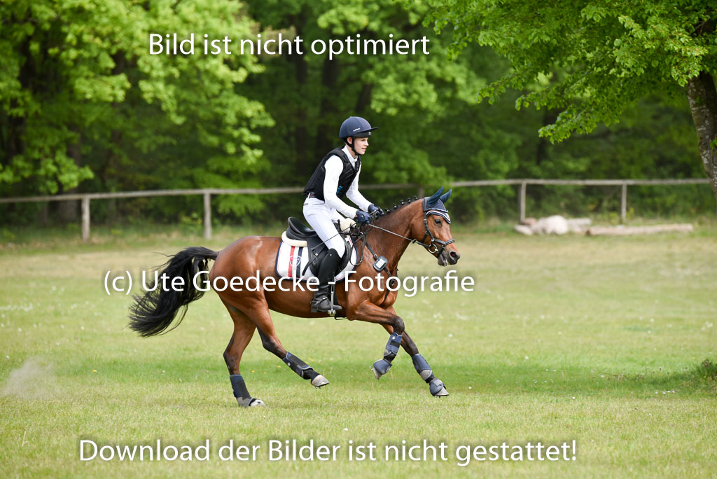 | 10052025 E Stilgelände _205 