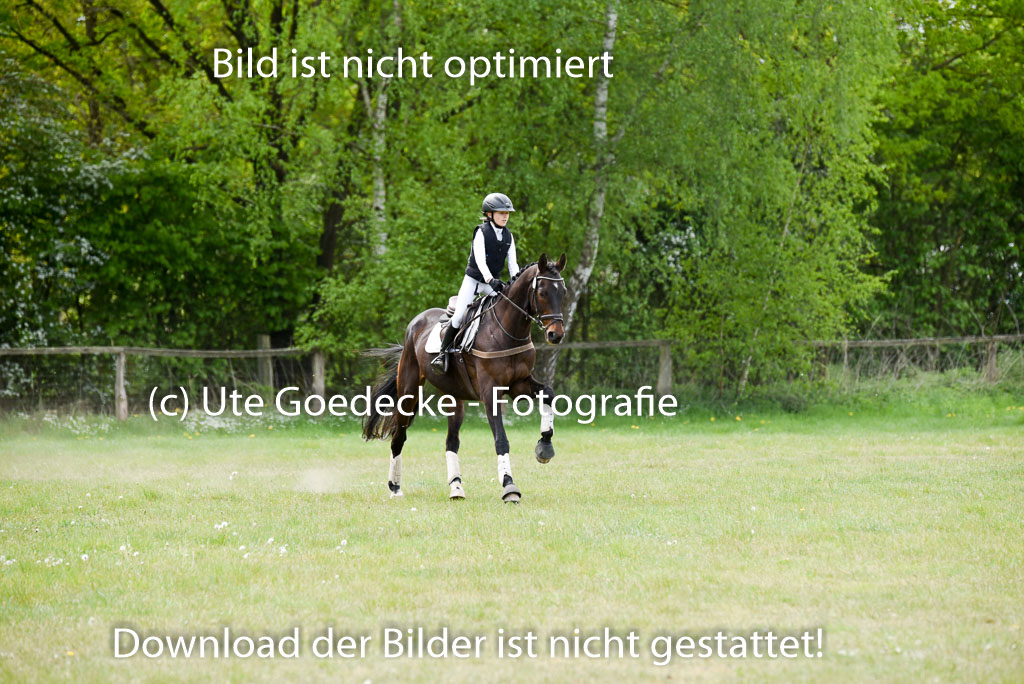  | 10052025 E Stilgelände _211 