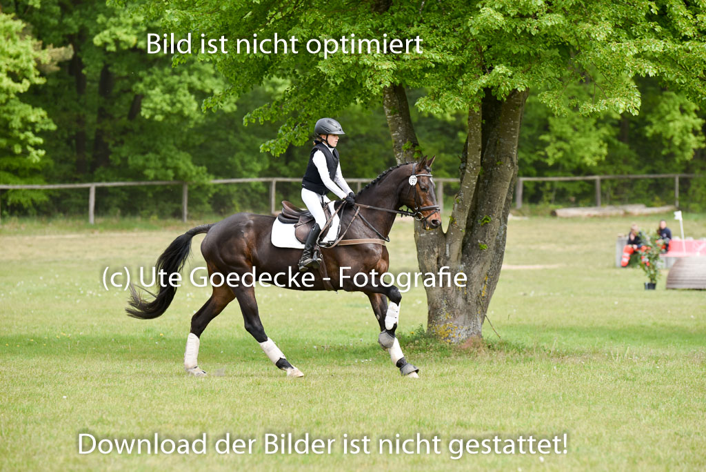  | 10052025 E Stilgelände _214 