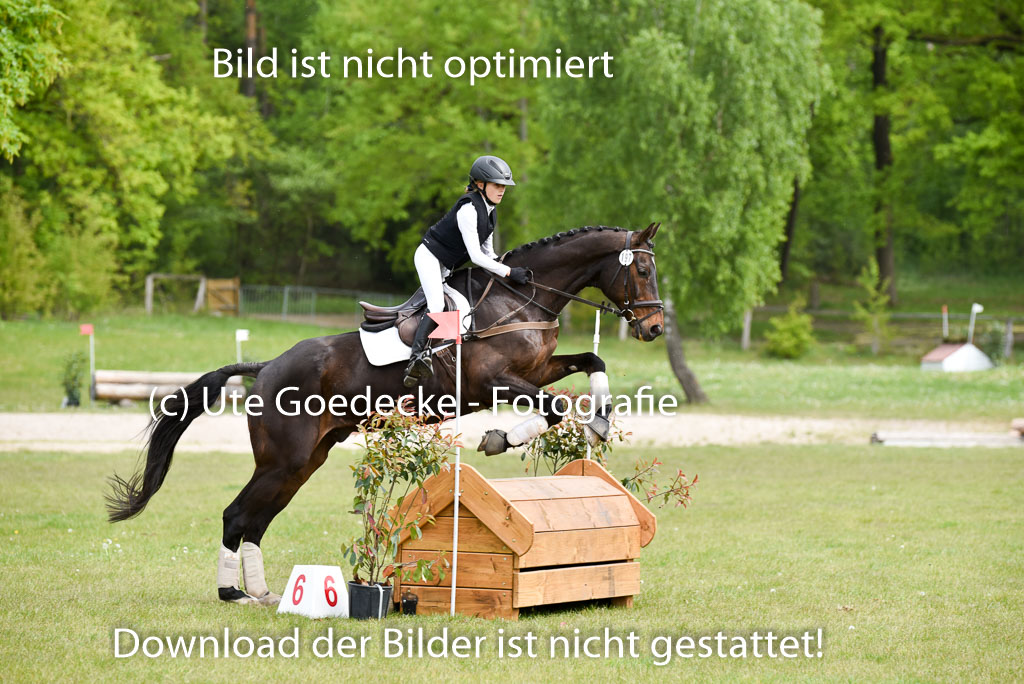  | 10052025 E Stilgelände _215 