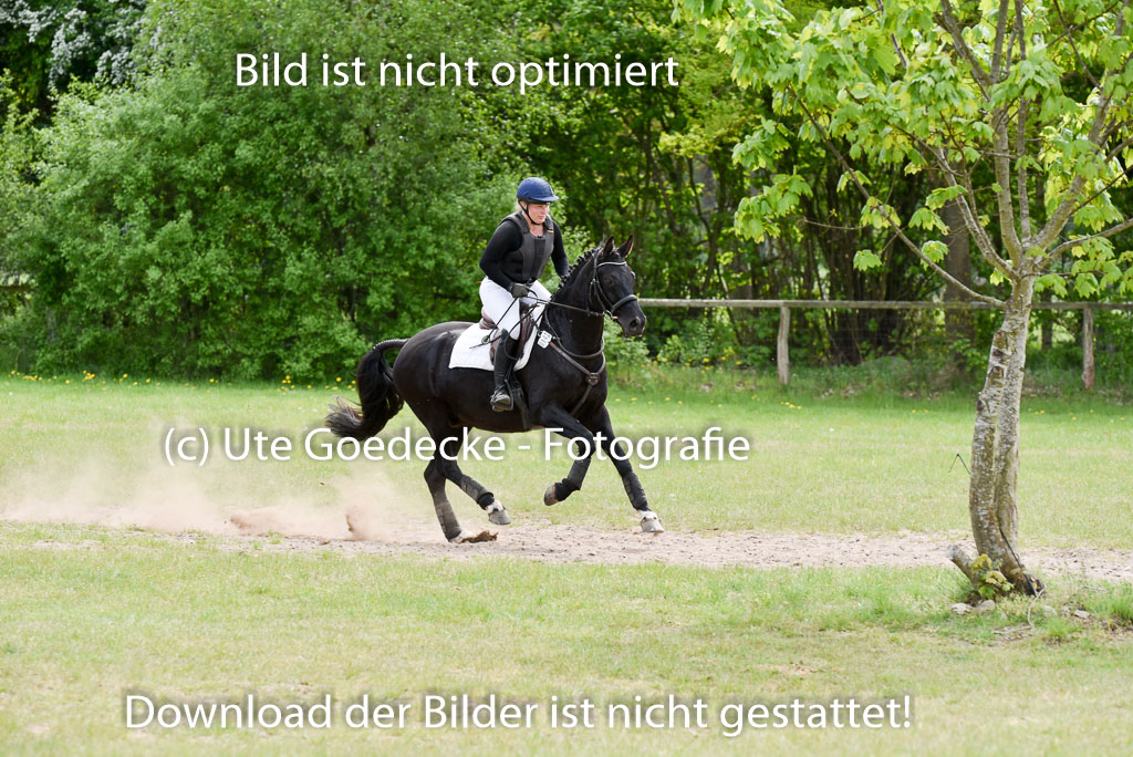  | 10052025 E Stilgelände _226 