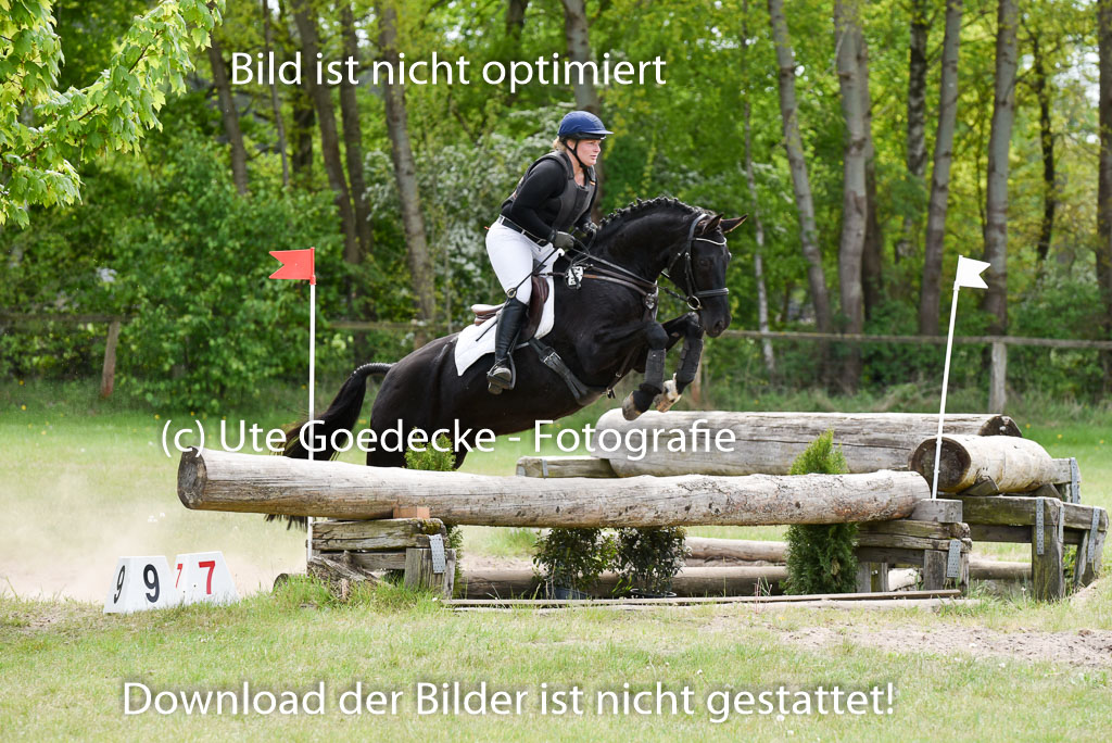  | 10052025 E Stilgelände _227 