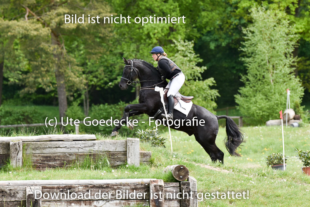 | 10052025 E Stilgelände _229 