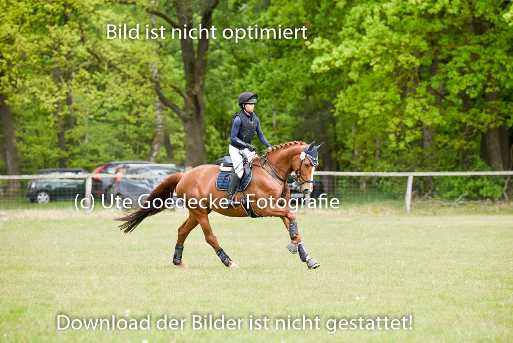  | 10052025 E Stilgelände _230 