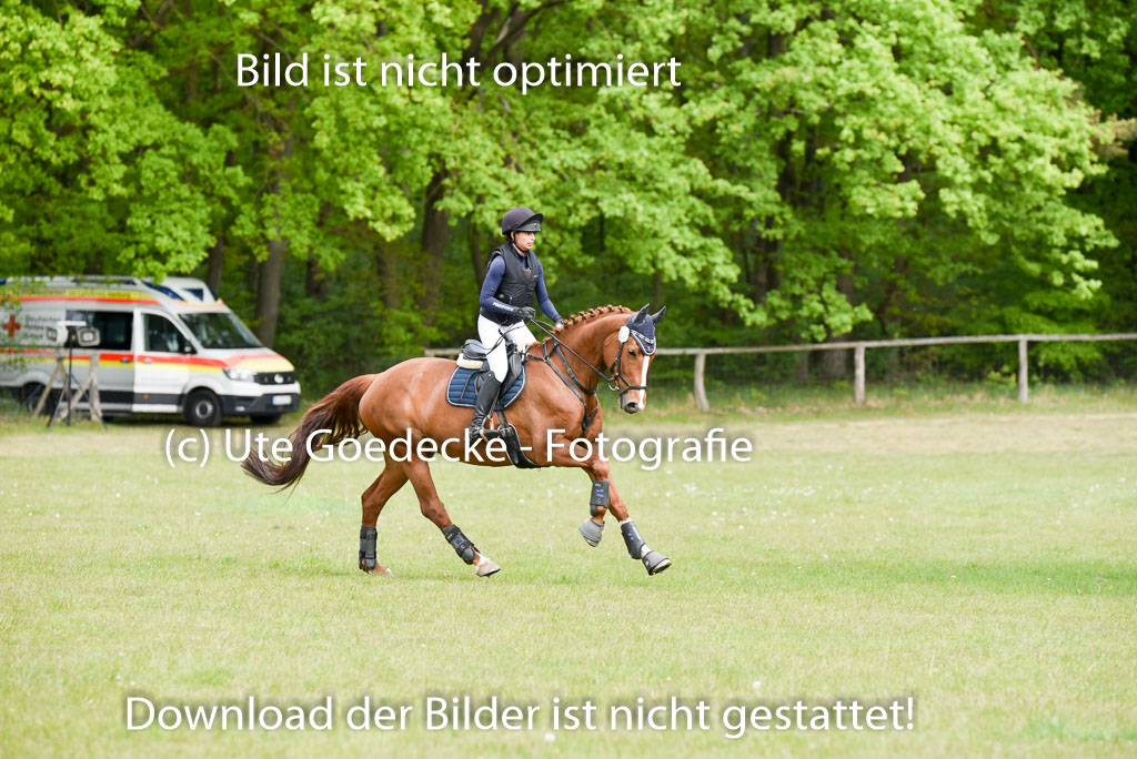  | 10052025 E Stilgelände _231 
