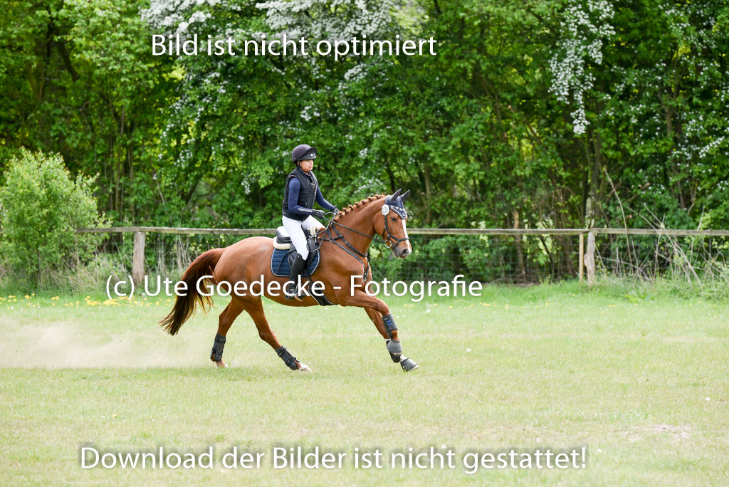  | 10052025 E Stilgelände _233 