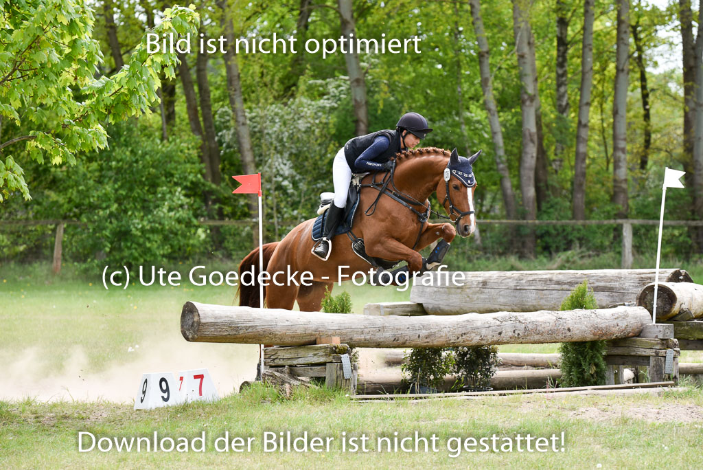  | 10052025 E Stilgelände _234 