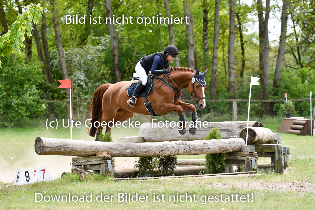  | 10052025 E Stilgelände _235 