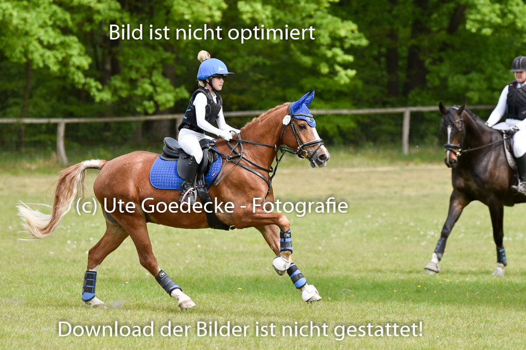  | 10052025 E Stilgelände _242 