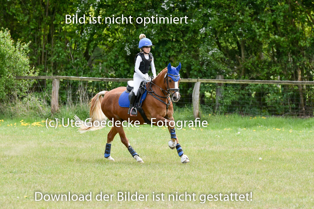  | 10052025 E Stilgelände _245 