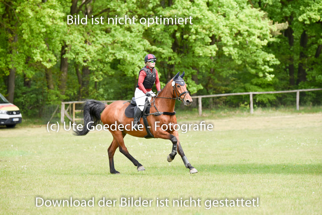  | 10052025 E Stilgelände _251 