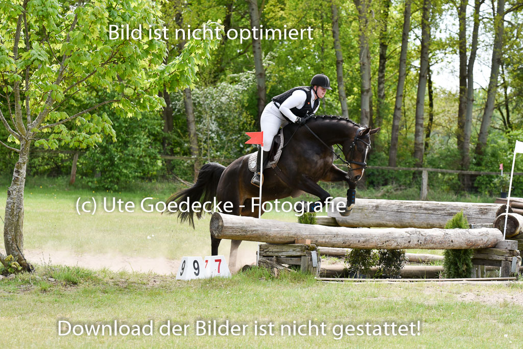  | 10052025 E Stilgelände _255 