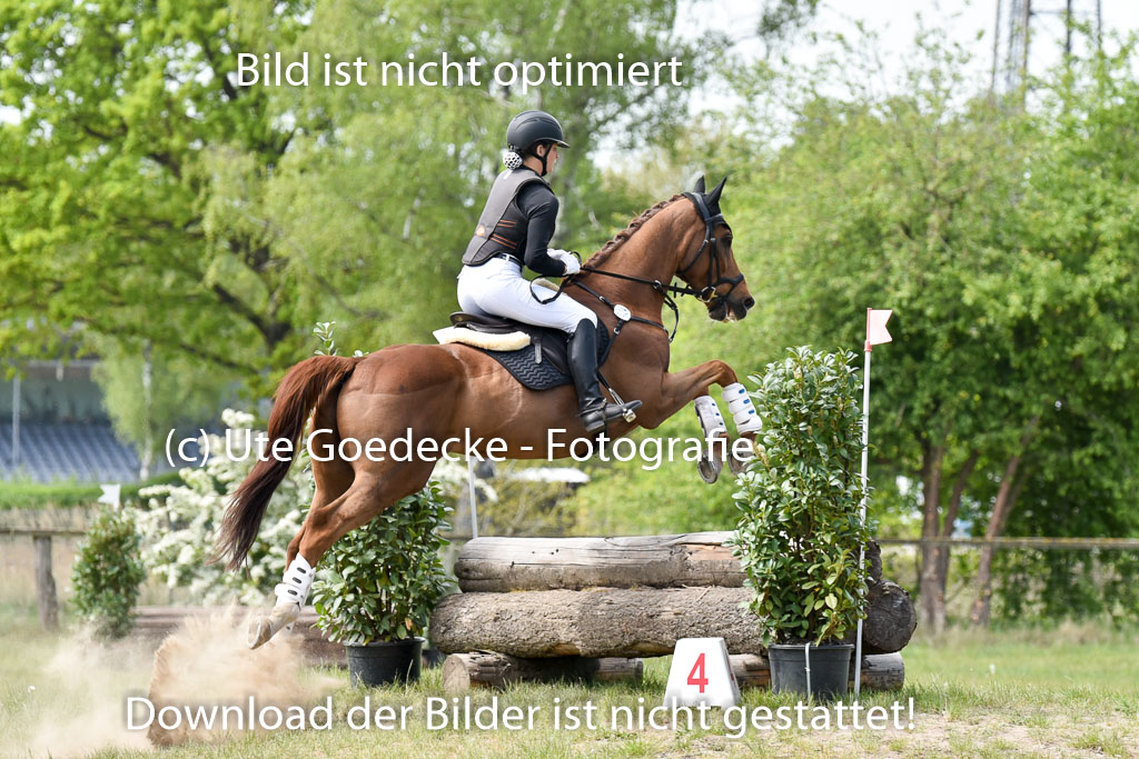  | 10052025 E Stilgelände _271 