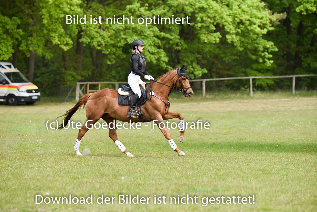  | 10052025 E Stilgelände _273 