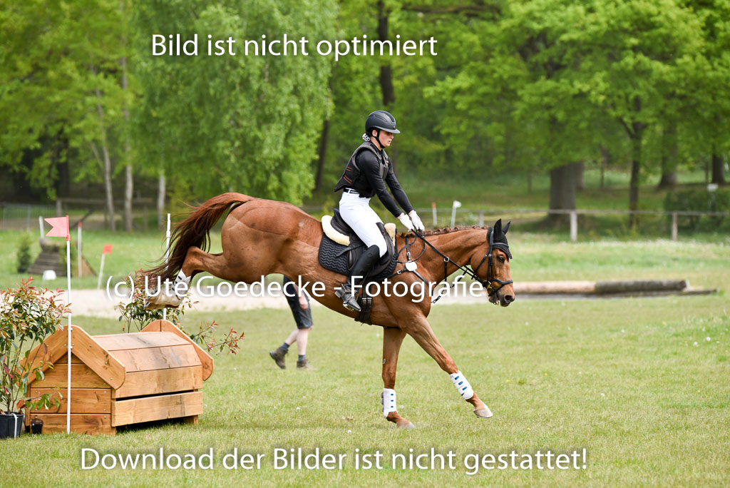  | 10052025 E Stilgelände _276 