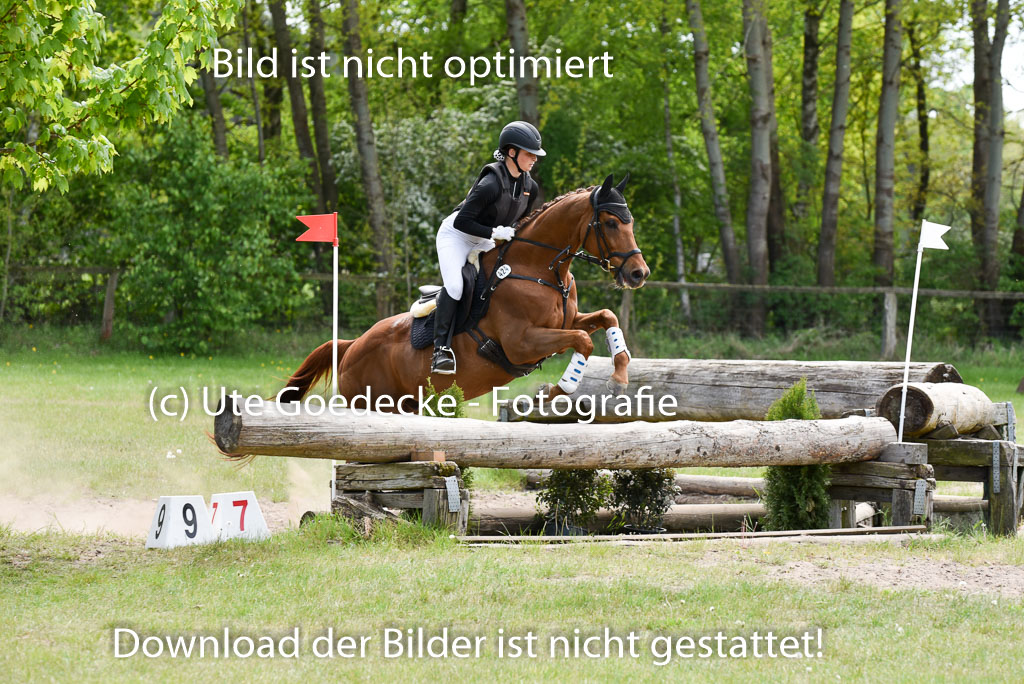  | 10052025 E Stilgelände _277 