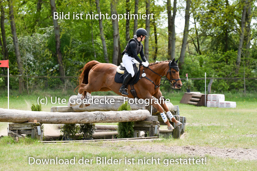  | 10052025 E Stilgelände _279 
