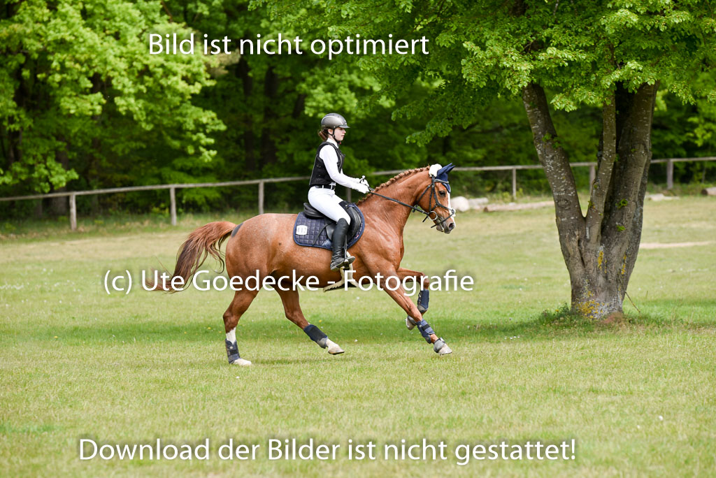  | 10052025 E Stilgelände _282 