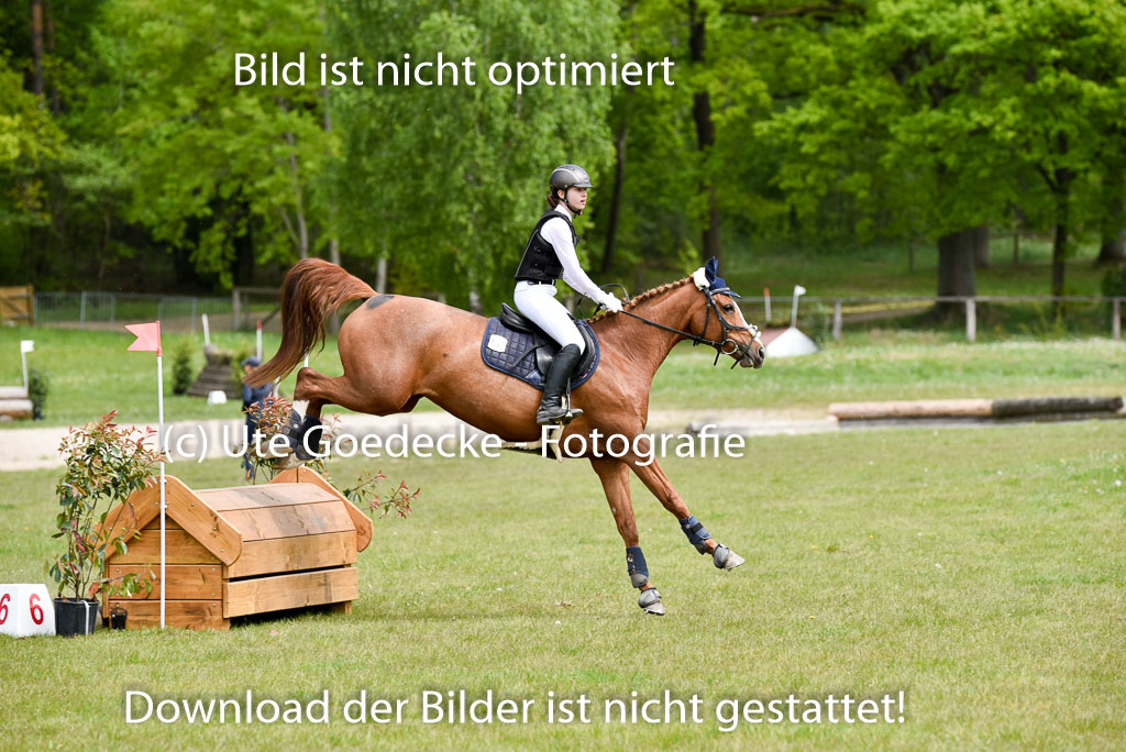  | 10052025 E Stilgelände _285 