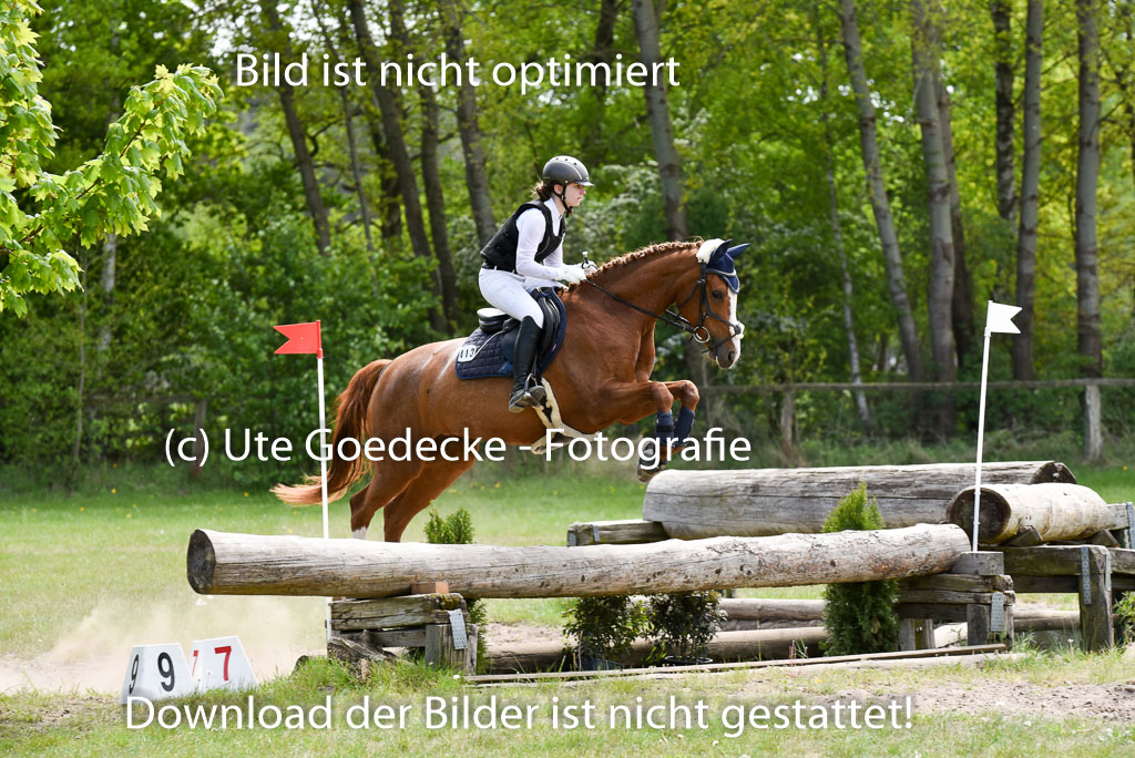  | 10052025 E Stilgelände _287 