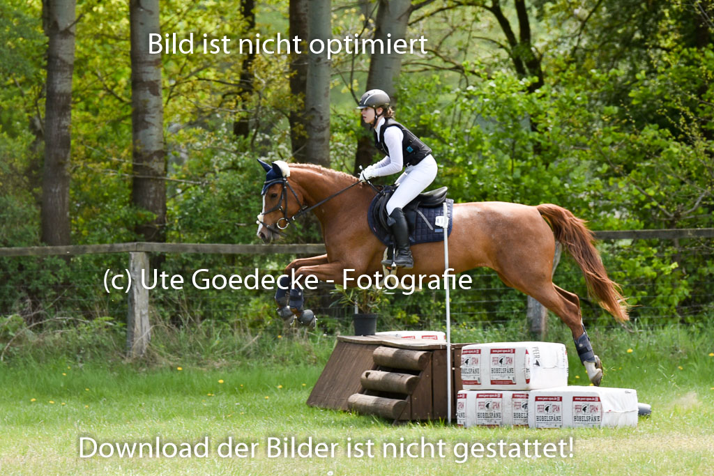  | 10052025 E Stilgelände _289 