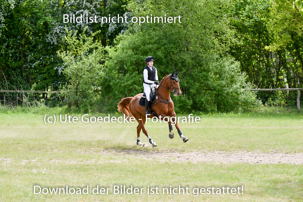  | 10052025 E Stilgelände _291 