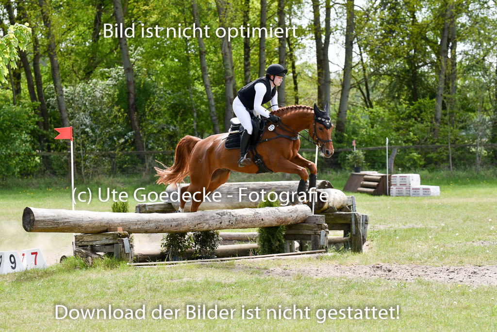  | 10052025 E Stilgelände _293 