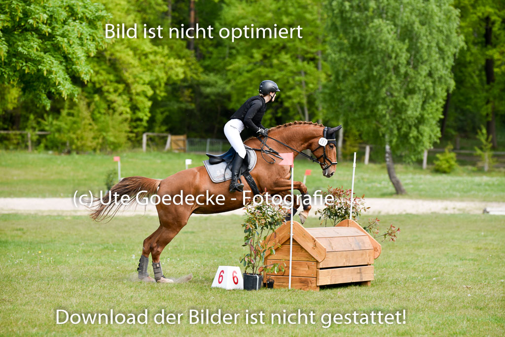  | 10052025 E Stilgelände _312 