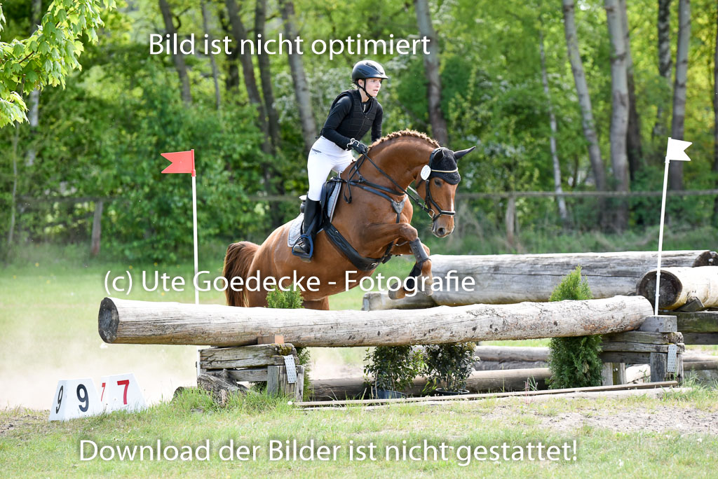  | 10052025 E Stilgelände _314 