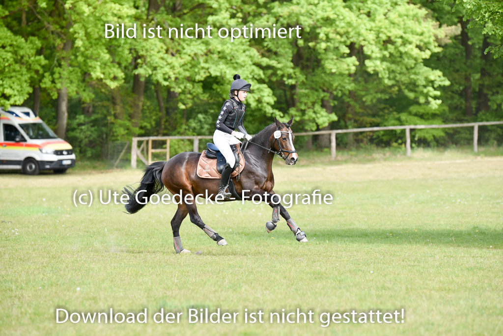  | 10052025 E Stilgelände _317 