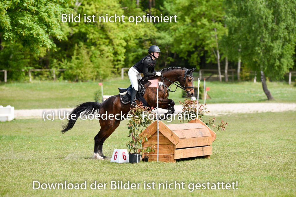  | 10052025 E Stilgelände _329 