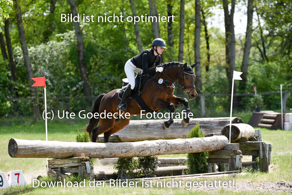  | 10052025 E Stilgelände _334 